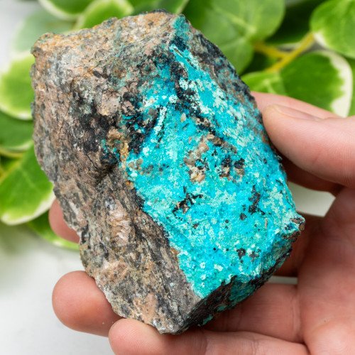 Raw Chrysocolla (New Mexico) #6