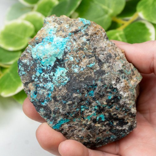 Raw Chrysocolla (New Mexico) #6