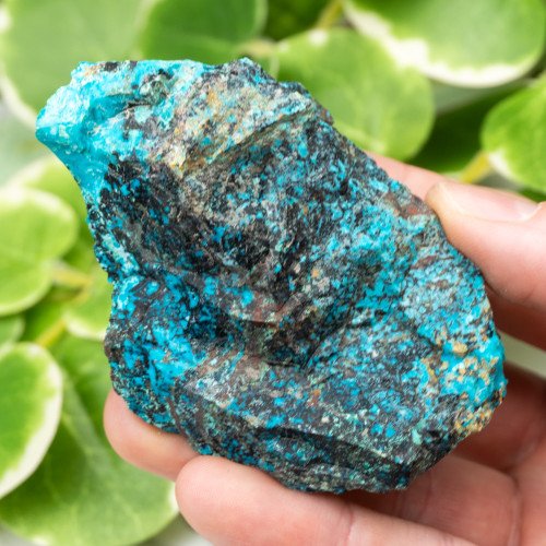 Raw Chrysocolla (New Mexico) #5