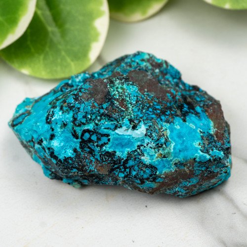 Raw Chrysocolla (New Mexico) #5