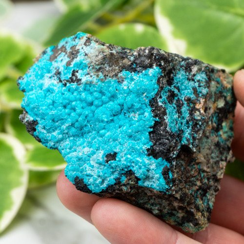 Raw Chrysocolla (New Mexico) #2