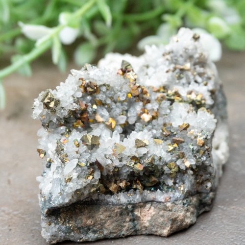 Chalcopyrite on Quartz #6