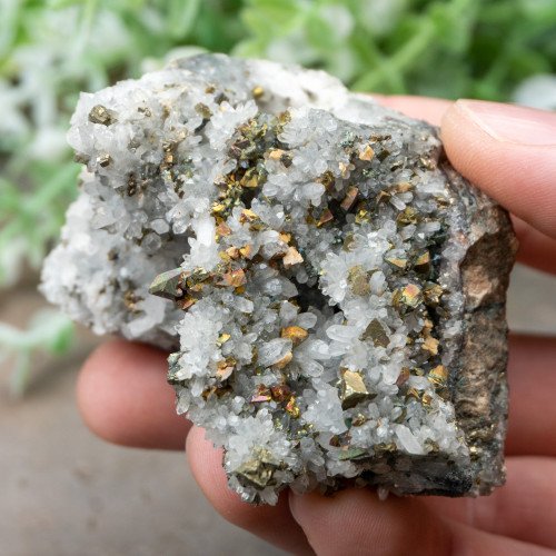 Chalcopyrite on Quartz #6