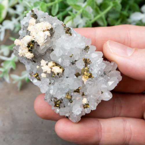 Chalcopyrite on Quartz #5