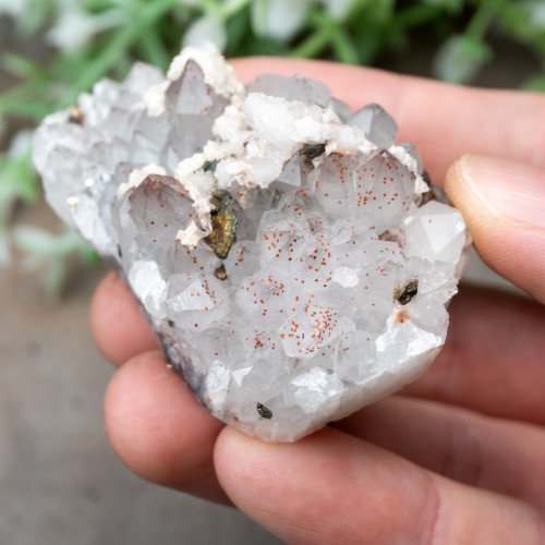 Chalcopyrite on Quartz with Hematite #4