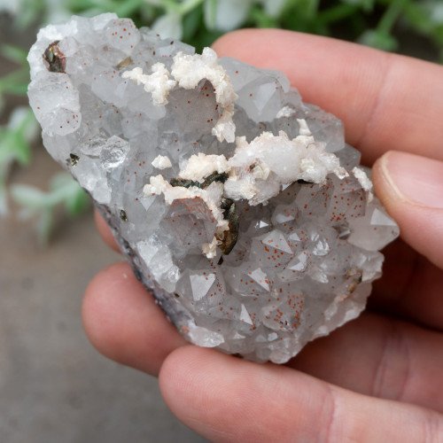 Chalcopyrite on Quartz with Hematite #4