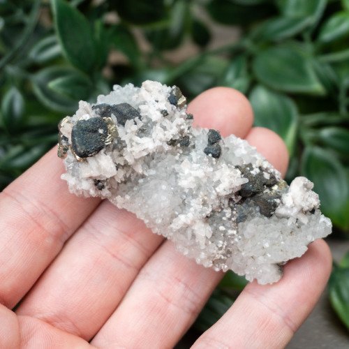 Pyrite on Druzy Quartz with Galena #4