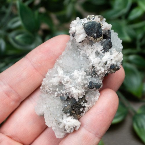 Pyrite on Druzy Quartz with Galena #4