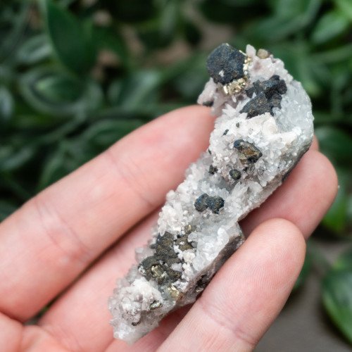 Pyrite on Druzy Quartz with Galena #4