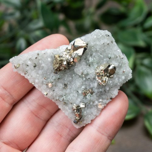 Pyrite on Druzy Quartz #3