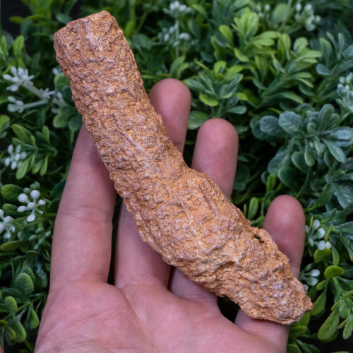 Fulgurite #4