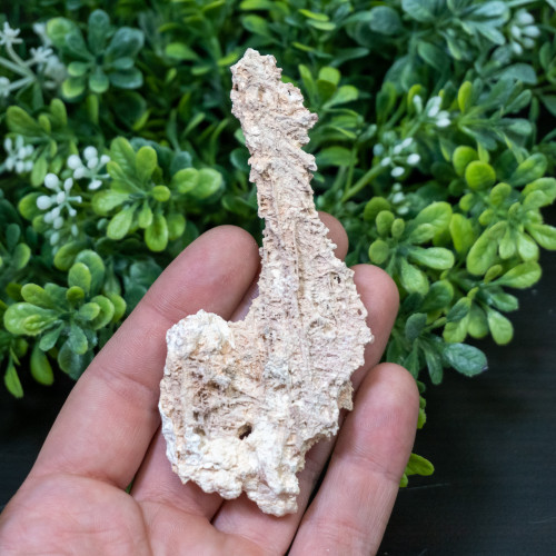 Fulgurite #2