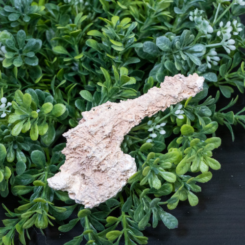 Fulgurite #2