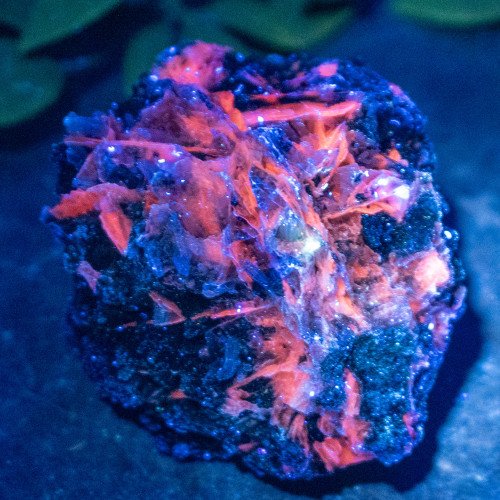 Green Garnet on Black Garnet with UV Reactive Mangano Calcite #1