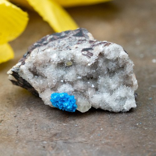 Cavansite #10
