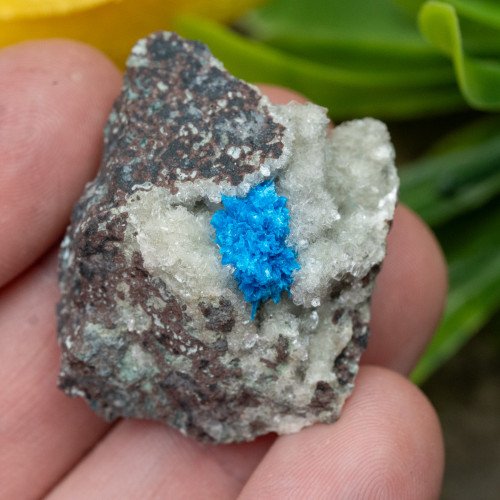 Cavansite #9