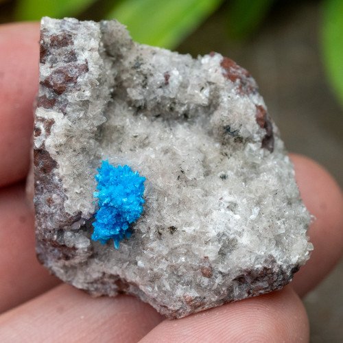 Cavansite #8