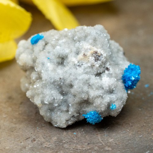 Cavansite #6