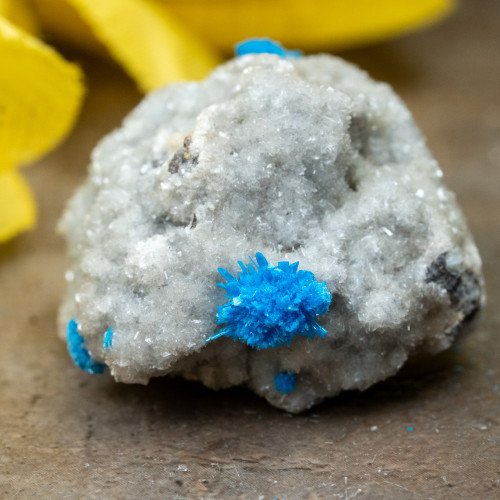 Cavansite #6