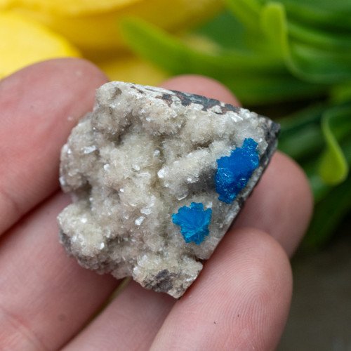 Cavansite #2