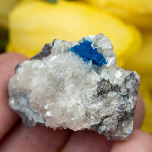 Cavansite #5