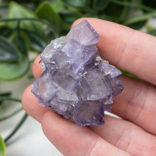 Purple Fluorite Cluster #1