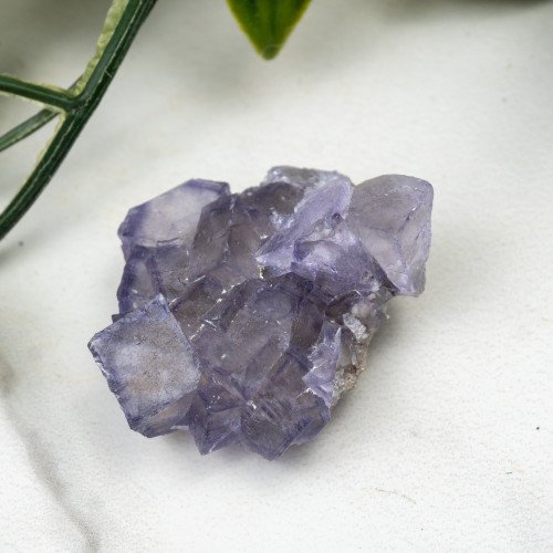 Purple Fluorite Cluster #1
