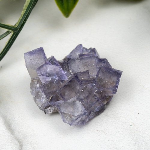 Purple Fluorite Cluster #1