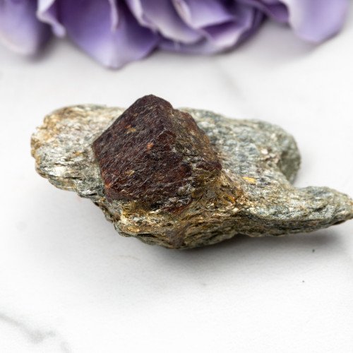 Garnet in Schist #3