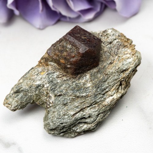 Garnet in Schist #3