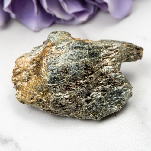 Garnet in Schist #3