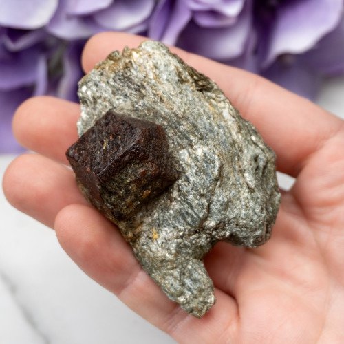 Garnet in Schist #3