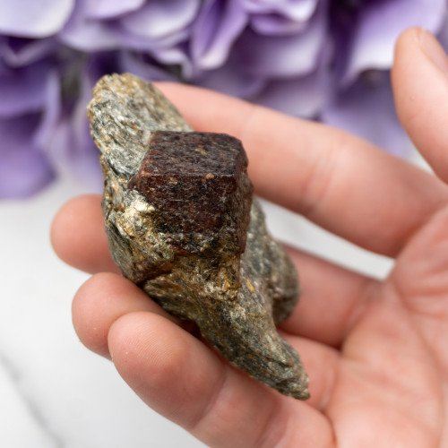 Garnet in Schist #3