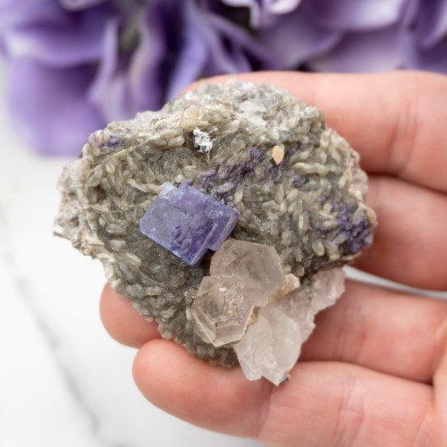 Purple Fluorite with Quartz on Mica #1