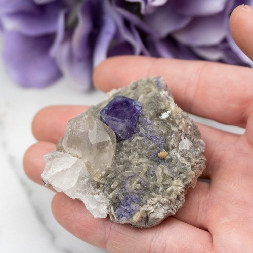 Purple Fluorite with Quartz on Mica #1