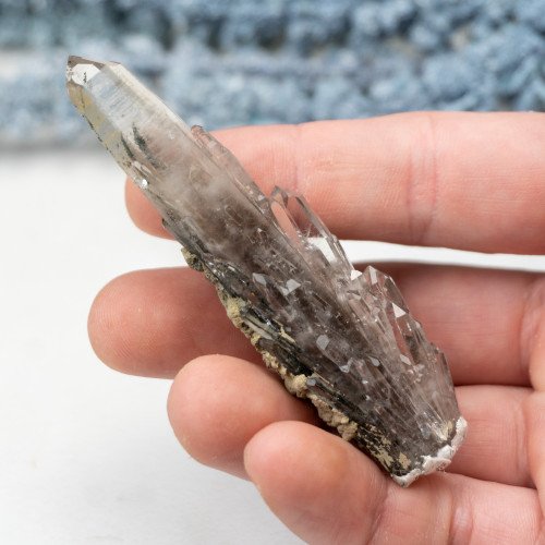 Chlorite in Quartz Scepter #1