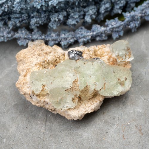 Green Fluorite with Galena on Matrix #1