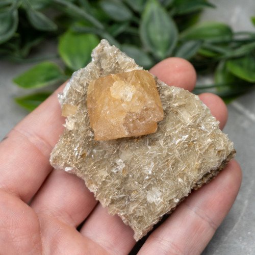 Orange Scheelite on Mica #2