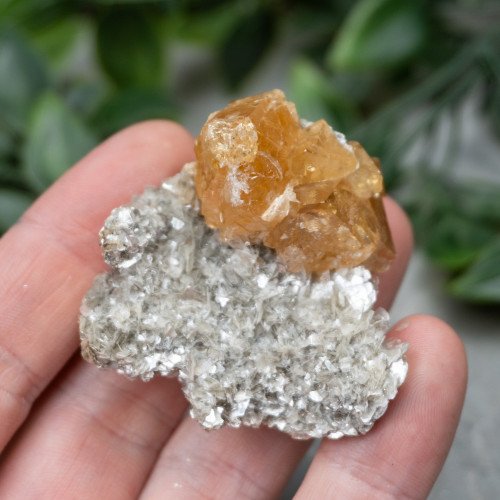 Orange Scheelite on Mica #1