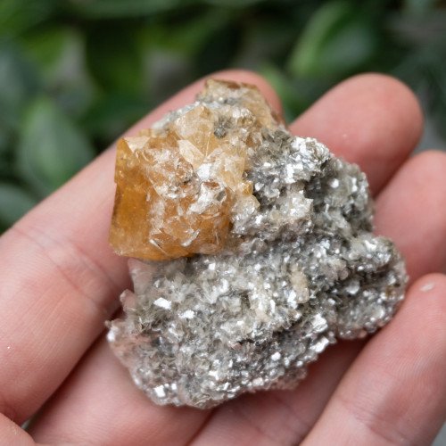 Orange Scheelite on Mica #1