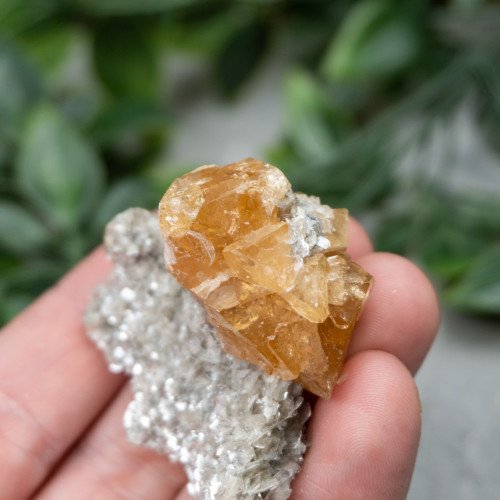 Orange Scheelite on Mica #1