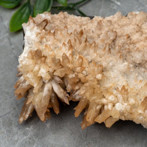 Calcite on Aragonite #1