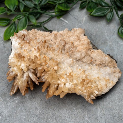 Calcite on Aragonite #1