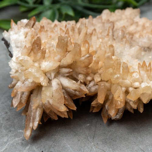 Calcite on Aragonite #1