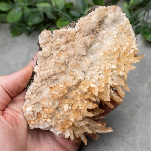 Calcite on Aragonite #1