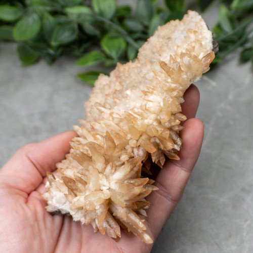 Calcite on Aragonite #1