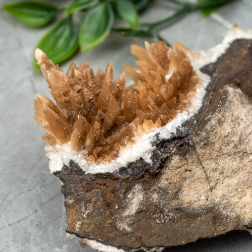 Calcite on Aragonite #1