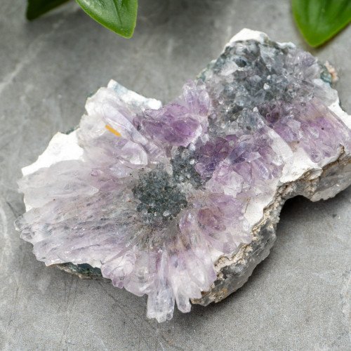 Flower Amethyst on Matrix #1