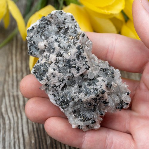 Mangano Calcite on Quartz with Pyrite #1