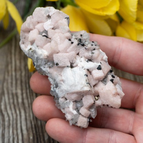 Mangano Calcite on Quartz with Pyrite #1